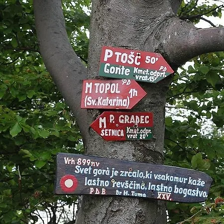 Katarina Hrastenica